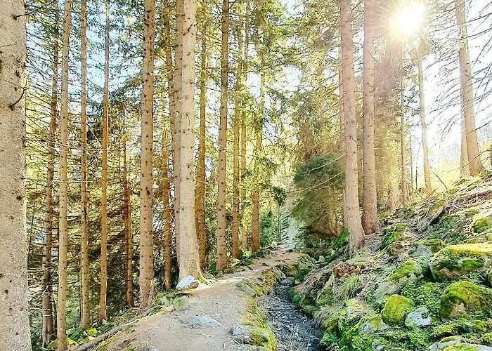 Le Rocher L Pied Des Pistes L By Cosyhome Nendaz