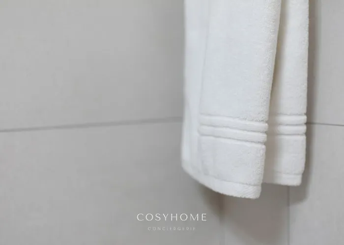 Le Rocher L Pied Des Pistes L By Cosyhome Lejlighed